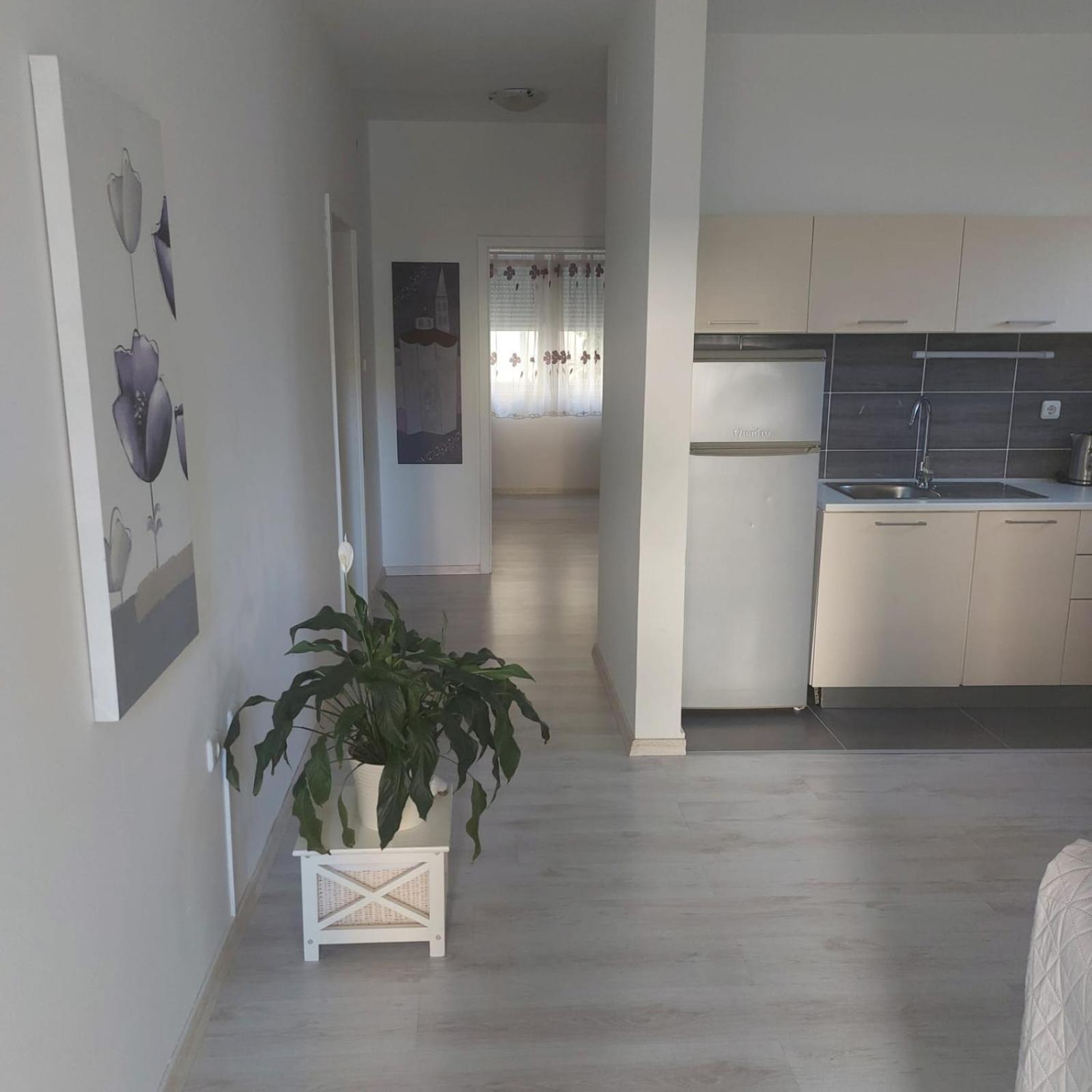 Martina Sun Apartment Zadar Eksteriør billede